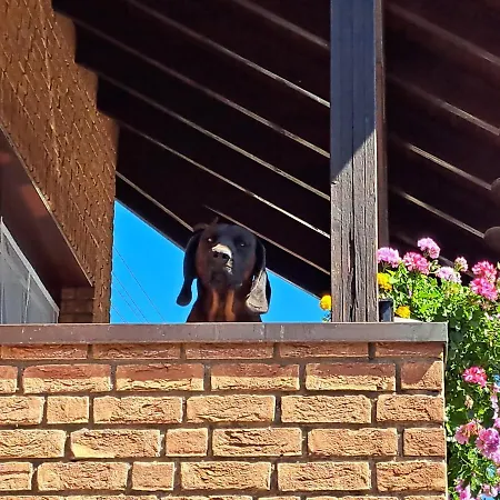 Zum Wohlfühlen Apartment *