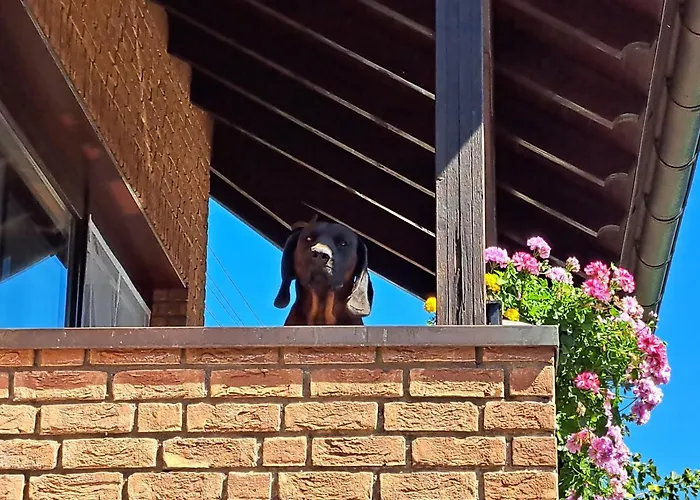 Zum Wohlfuehlen Appartement *